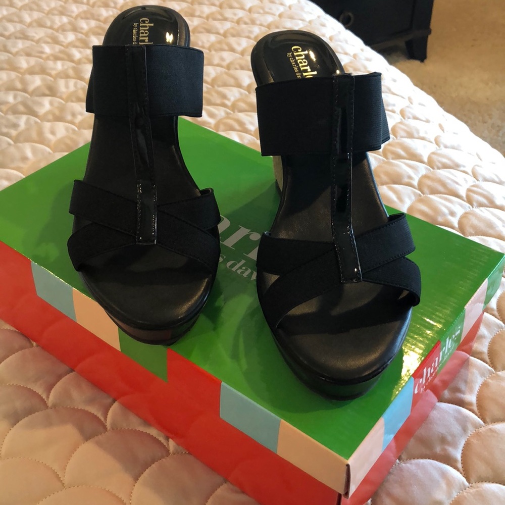 Charles David wedge sandals